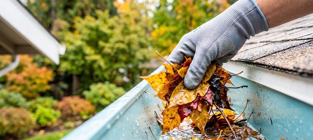 Gutter cleaning service removing leaves and debris from a residential gutter in Charleston, SC.